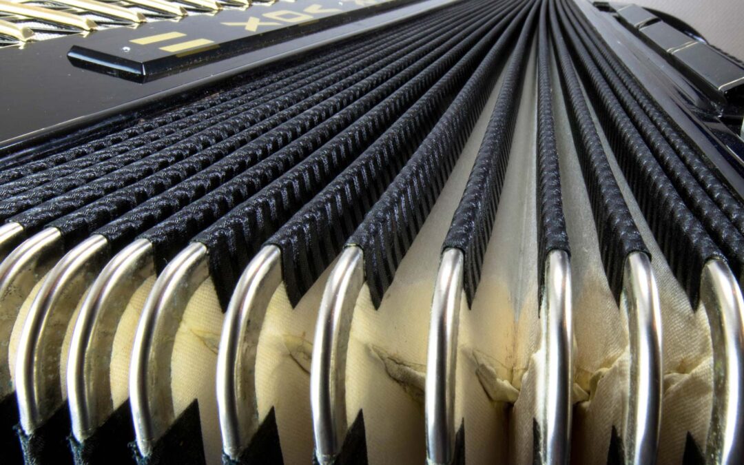 Instrument des Jahres 2026 Das Akkordeon